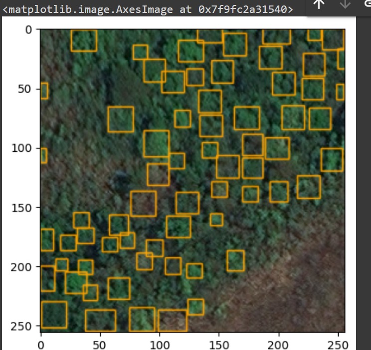 Imagem de resultado Deep forest com tratamento