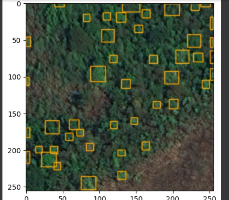 Imagem de resultado Deep forest sem tratamento